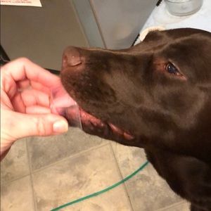 Meet your Posher, Arleen